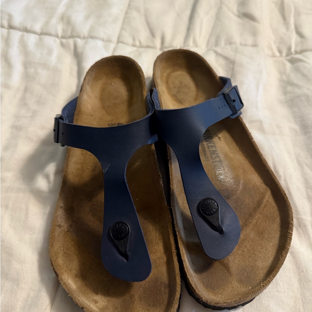 Birkenstock Blue Sandals